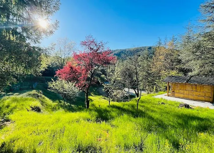 Διαμέρισμα Des 3 Vallees - Le Soleil Des Cevennes Saint-Jean-du-Gard